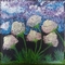 HI Art - Wonderlijk Parelmoer